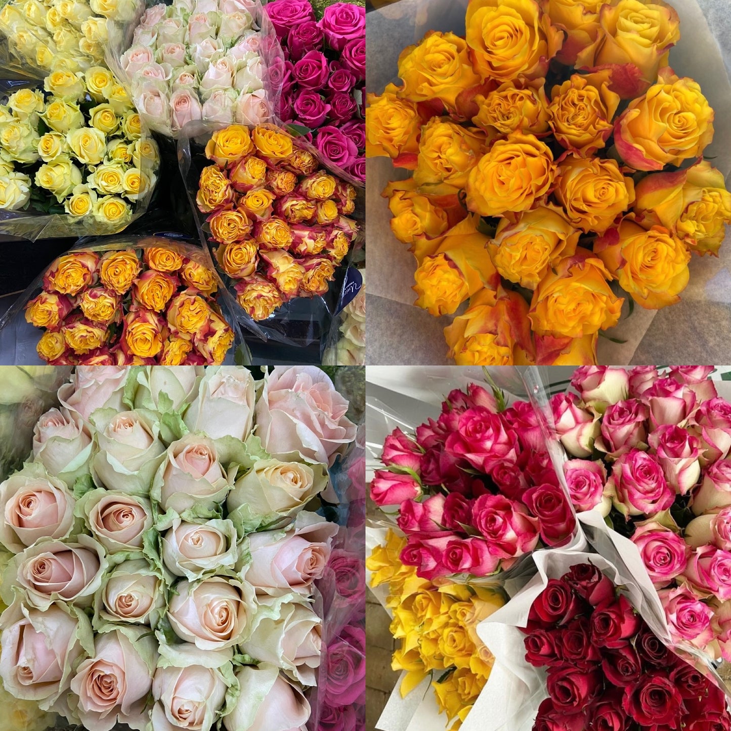 Rose bouquets