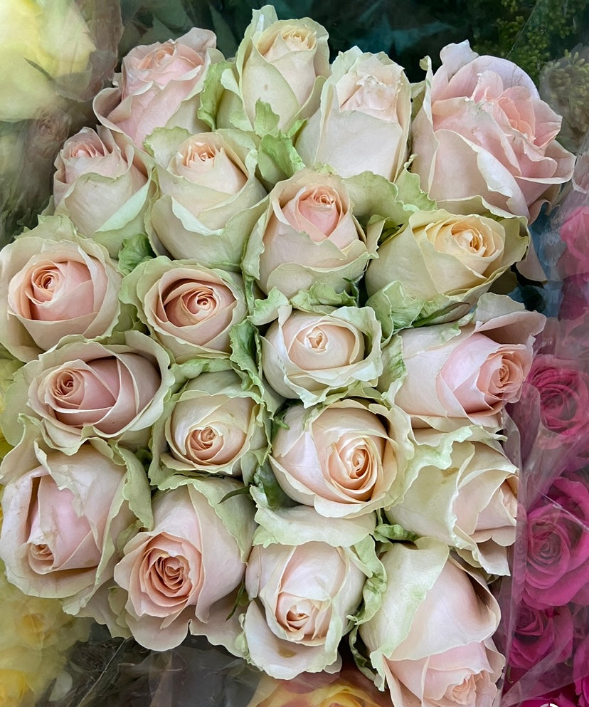 Rose bouquets