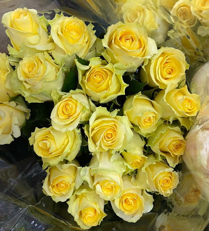 Rose bouquets