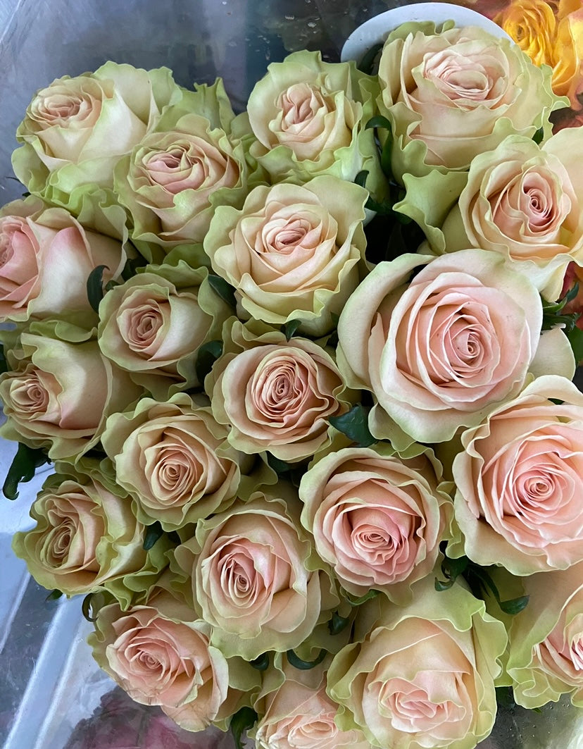 Rose bouquets