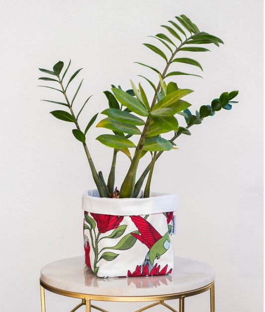 Fabric pot protea red on white