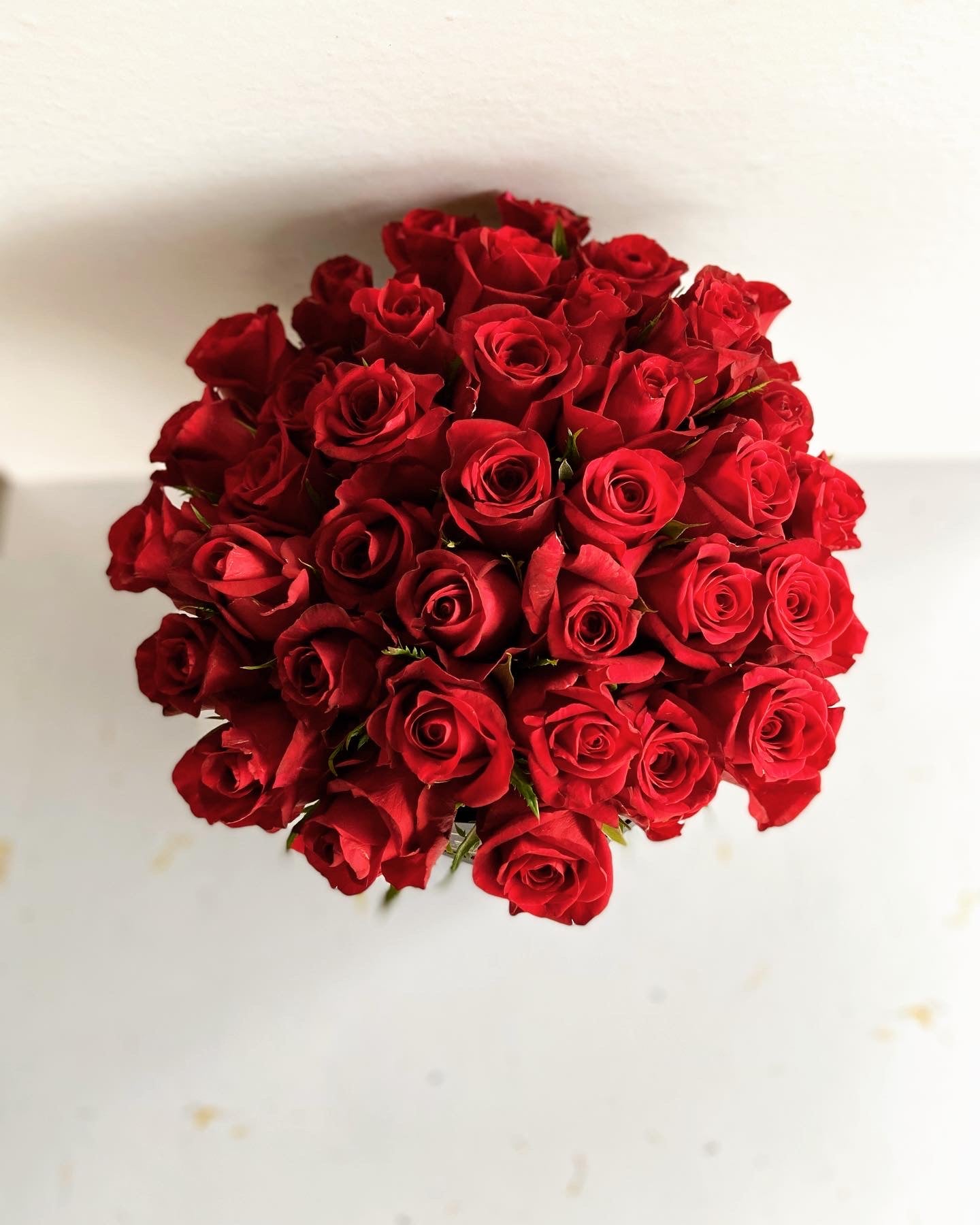 Large red rose hatbox