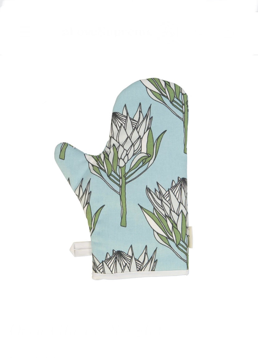 Assorted single oven gloves